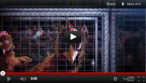 A Cage Is A Cage video clip