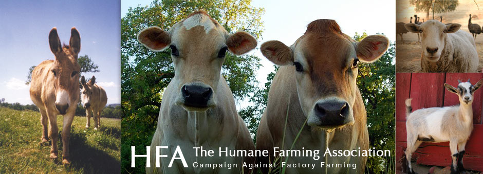 The Humane Farming Association