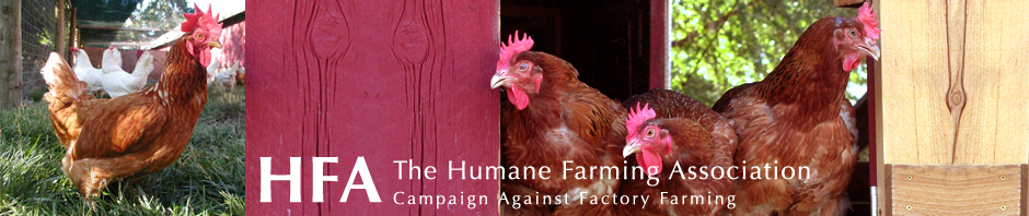 The Humane Farming Association