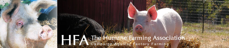 The Humane Farming Association