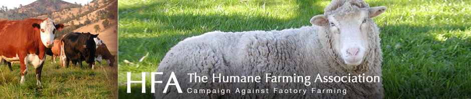 The Humane Farming Association