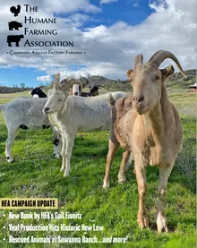 newsletter-25-cover-crop-220